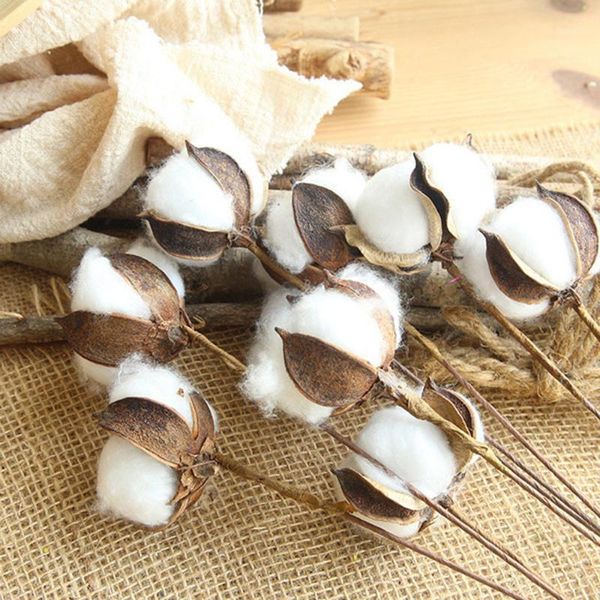 10 pcs dried cotton stems flowers head cotton stem artificial flower floral branches artificial floral garden decoration1
10 pcs dried cotton stems flowers head cotton stem artificial flower floral branches artificial floral garden decoration1