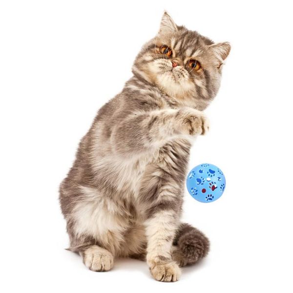 6 pcs pet interactive toy cat playing assorted ball toy plastic sisal round ball scratch-resistant exercise set n06 n07
6 pcs pet interactive toy cat playing assorted ball toy plastic sisal round ball scratch-resistant exercise set n06 n07