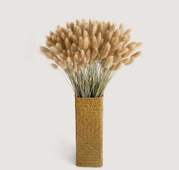 20 stems dried flower bunny tail natural plants floral rabbit grass bouquet home decoration accessories jllrqws garden_light
20 stems dried flower bunny tail natural plants floral rabbit grass bouquet home decoration accessories jllrqws garden_light
