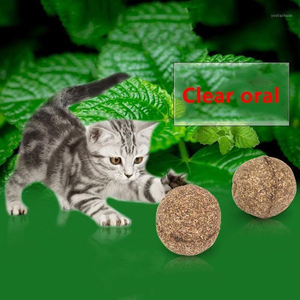 cat toys sale pet natural catnip treat ball favor home chasing healthy safe edible treating cleaning teeth1
cat toys sale pet natural catnip treat ball favor home chasing healthy safe edible treating cleaning teeth1