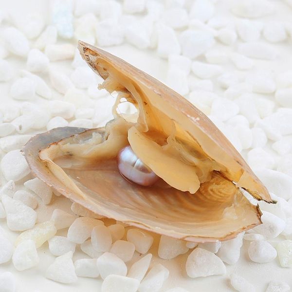 1pcs vacuum-packed 8-9mm oval akoya pearls in oyster white pink lavender freshwater pearls for jewelry making surprise gift bbyubf 
1pcs vacuum-packed 8-9mm oval akoya pearls in oyster white pink lavender freshwater pearls for jewelry making surprise gift bbyubf