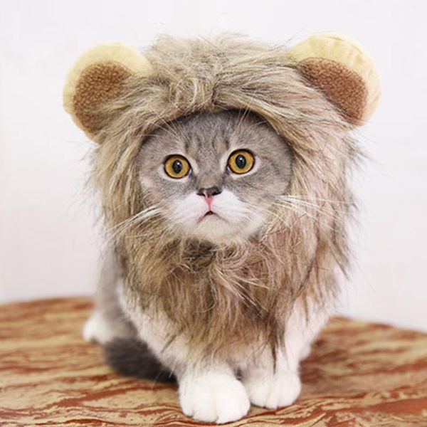 christmas halloween pet cat costume for cats cosplay adjustable cat hat cap kedi gota accessories for mascotas supplies products h wmtbgr
christmas halloween pet cat costume for cats cosplay adjustable cat hat cap kedi gota accessories for mascotas supplies products h wmtbgr