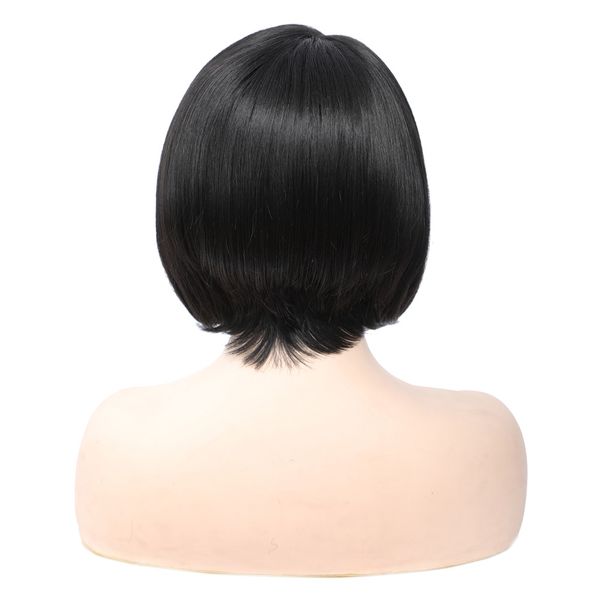 costume accessories black short bob wigs synthetic straight hair l side part lace wig for women high temperature fiber 12 inches, Silver
costume accessories black short bob wigs synthetic straight hair l side part lace wig for women high temperature fiber 12 inches, Silver