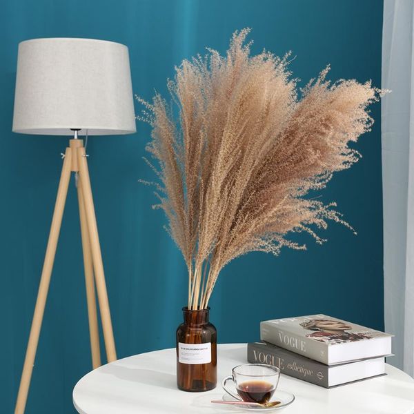 decorative flowers & wreaths 20pcs natural pampas grass decor flower phragmites dried plants wedding bunch christmas home communis 60cm long
decorative flowers & wreaths 20pcs natural pampas grass decor flower phragmites dried plants wedding bunch christmas home communis 60cm long