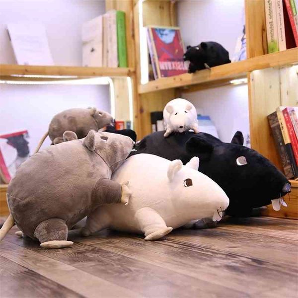 cute plush big eyes mouse toy stuffed animal doll baby kids children birthday gift shop home decor peluche mascots 1pc 21cm
cute plush big eyes mouse toy stuffed animal doll baby kids children birthday gift shop home decor peluche mascots 1pc 21cm