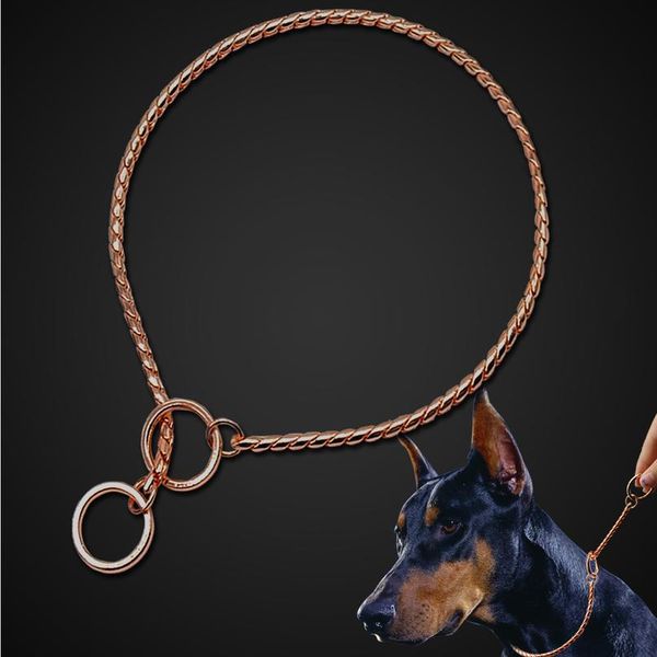 dog choker snake chain dog training collar heavy metal pet slip choke collars golden for medium large dogs wmtfwm
dog choker snake chain dog training collar heavy metal pet slip choke collars golden for medium large dogs wmtfwm