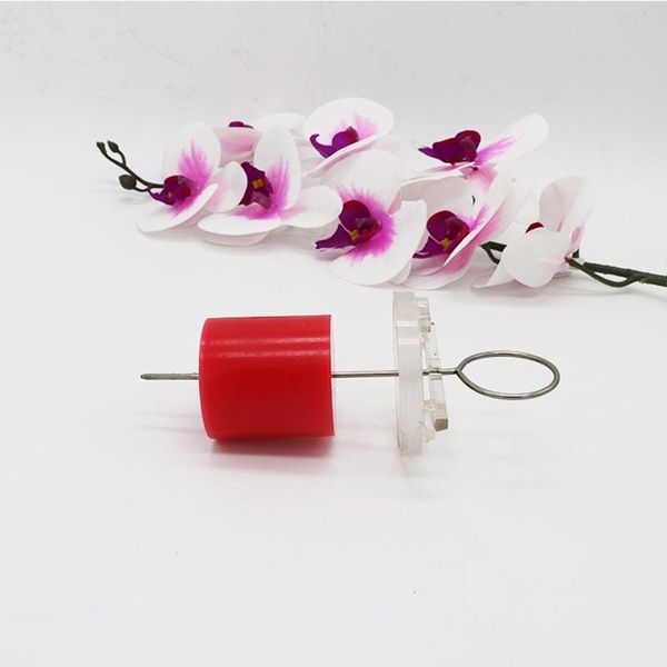 1pcs cylindrical diy handmade candle model wax mold raw material making wax molds 4 6 8 10cm making model handcraft crafts wmttry petsyard
1pcs cylindrical diy handmade candle model wax mold raw material making wax molds 4 6 8 10cm making model handcraft crafts wmttry petsyard