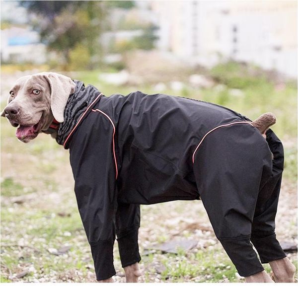 pet big dog raincoat jumpsuit waterproof breathable clothes for medium large girl dogs rain coat french bulldog labrad bbyhbt
pet big dog raincoat jumpsuit waterproof breathable clothes for medium large girl dogs rain coat french bulldog labrad bbyhbt