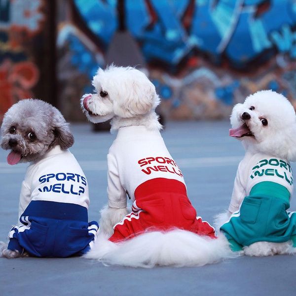 funny print sport style dog clothes winter pet clothes for small and mediumn dog four legs three colors clothing outwear
funny print sport style dog clothes winter pet clothes for small and mediumn dog four legs three colors clothing outwear