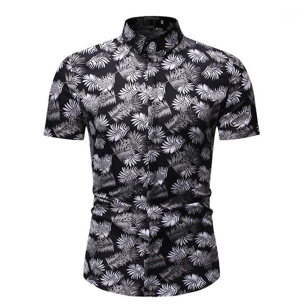 mens black palm tree print tropical aloha shirts 2020 brand short sleeve hawaiian shirt men summer beach hawaii shirt chemise1, White;black
mens black palm tree print tropical aloha shirts 2020 brand short sleeve hawaiian shirt men summer beach hawaii shirt chemise1, White;black