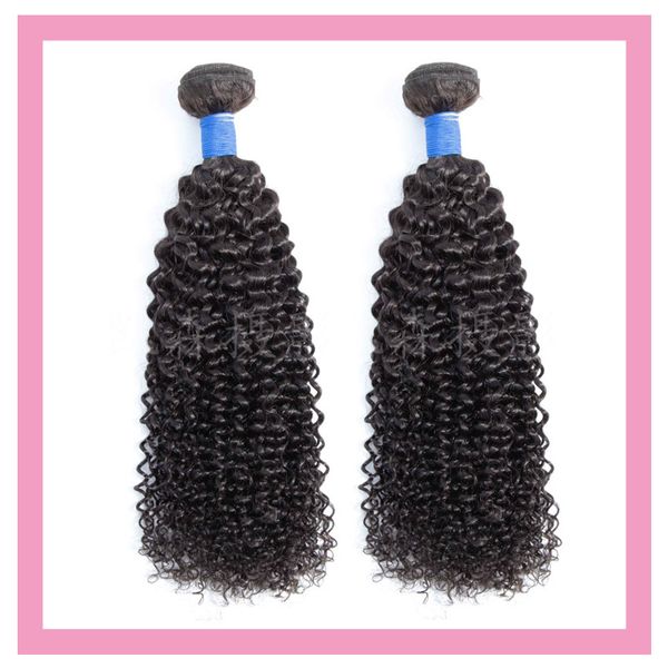 brazilian kinky curly 2 pieces/lot 100% human hair extensions kinky curly two bundles double wefts brazilian virgin hair wholesale remy, Black
brazilian kinky curly 2 pieces/lot 100% human hair extensions kinky curly two bundles double wefts brazilian virgin hair wholesale remy, Black