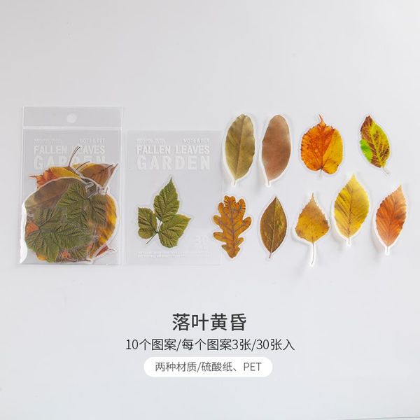 tianzi 8 designs 30pcs deciduous garden decoration sticker scrapbook diary toy decoration diy stationery sticker aesthetics wmtwqi petsyard
tianzi 8 designs 30pcs deciduous garden decoration sticker scrapbook diary toy decoration diy stationery sticker aesthetics wmtwqi petsyard
