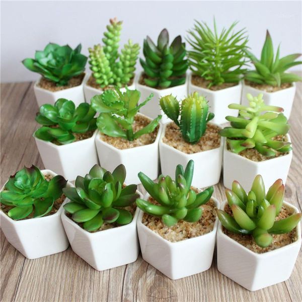 artificial succulents bonsai green cactus lotus plant + white ceramics flowerpot home wedding christmas party decor1
artificial succulents bonsai green cactus lotus plant + white ceramics flowerpot home wedding christmas party decor1