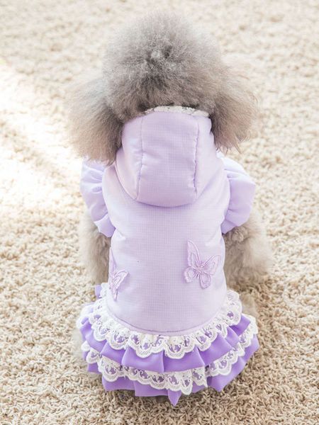 cotton padded princs drs teddy is thicker than xiong bomei small dog in autumn and winter
cotton padded princs drs teddy is thicker than xiong bomei small dog in autumn and winter