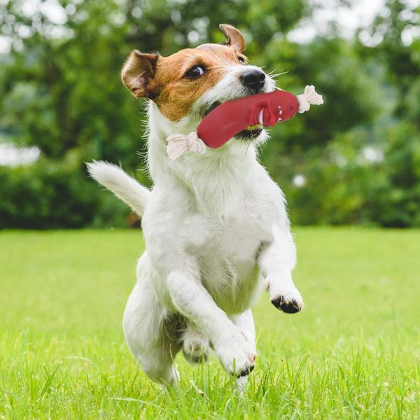 pet dog toy for pet bite toys for dog cite creative simulation dog toy chew squeak non-toxic molar toys for pet wmtfjj bdesybag
pet dog toy for pet bite toys for dog cite creative simulation dog toy chew squeak non-toxic molar toys for pet wmtfjj bdesybag
