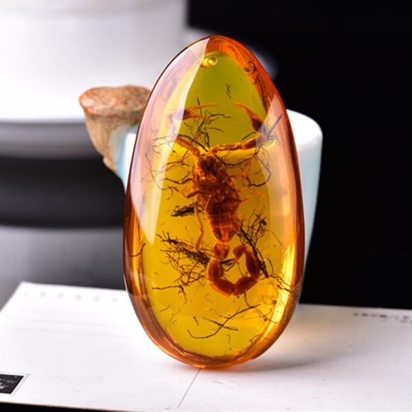 scorpion amber necklace pendant men women fashion charms jewellery natural baltic amber necklaces drop pendants amulet gifts, Silver
scorpion amber necklace pendant men women fashion charms jewellery natural baltic amber necklaces drop pendants amulet gifts, Silver