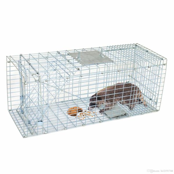 humane small live animal control steel trap cage 32"x12.5"x12" raccoon skunk cat
humane small live animal control steel trap cage 32"x12.5"x12" raccoon skunk cat