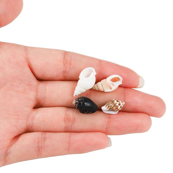 50g / серия natural small раковина форма seashell смешанного цвет корпус diy для изготовления ювелирных изделий finding аксессуары supplies
50g / серия natural small раковина форма seashell смешанного цвет корпус diy для изготовления ювелирных изделий finding аксессуары supplies