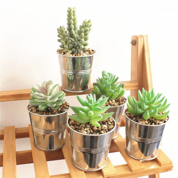 fleshy garden plant green mini office artificial decor wonderful artificial succulents potted flowers1
fleshy garden plant green mini office artificial decor wonderful artificial succulents potted flowers1