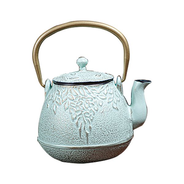 tea kettle, stovesafe cast iron teapot with infusers for loose tea, 900ml, light green
tea kettle, stovesafe cast iron teapot with infusers for loose tea, 900ml, light green