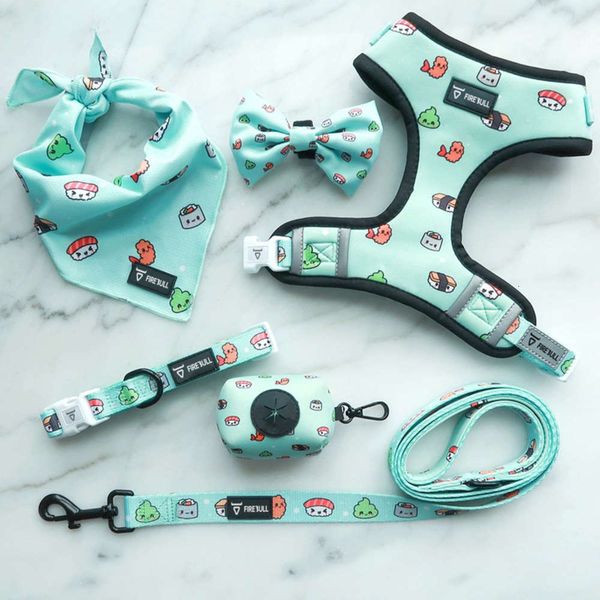 2020 bt selling pet products: traction set, dog walking rope cht strap vt
2020 bt selling pet products: traction set, dog walking rope cht strap vt