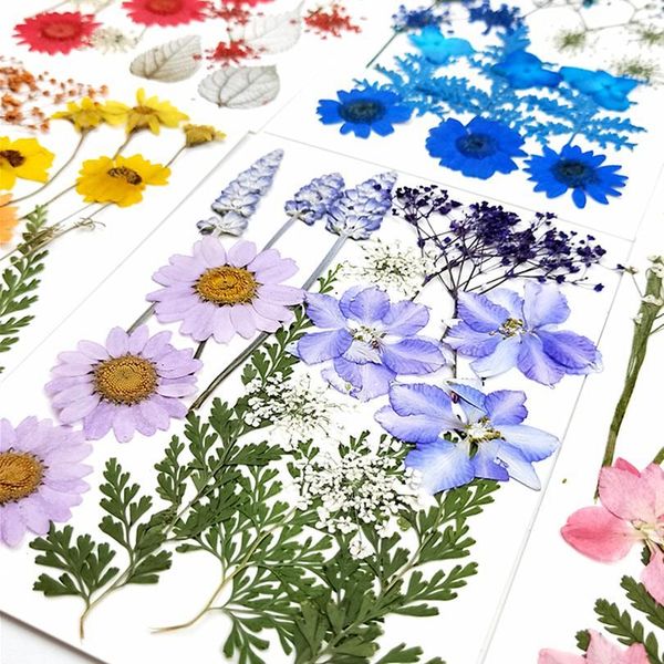 1bag diy dried flowers resin mold fillings real dried flower dry plants scented candle jewelry making craft diy acc qylied
1bag diy dried flowers resin mold fillings real dried flower dry plants scented candle jewelry making craft diy acc qylied