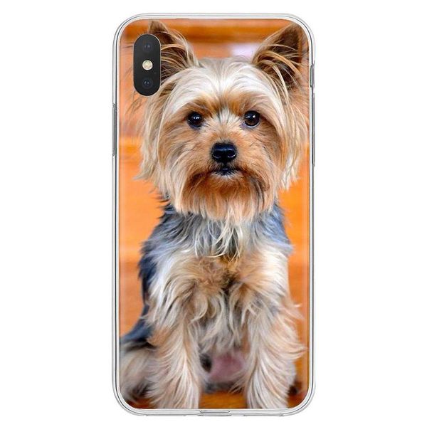 i love my yorkie dog personalized silicone phone case for samsung galaxy a10 a30 a40 a50 a60 a70 s6 active note 10 plus edge m30
i love my yorkie dog personalized silicone phone case for samsung galaxy a10 a30 a40 a50 a60 a70 s6 active note 10 plus edge m30