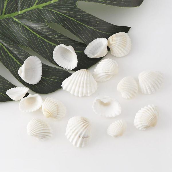 30g about 20pc aquarium landscape natural seashells decorations scallop shells jewelry crafts wall decor orname jllcdb, Black
30g about 20pc aquarium landscape natural seashells decorations scallop shells jewelry crafts wall decor orname jllcdb, Black