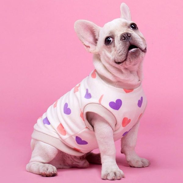 dog apparel summer pets shirt vest clothes cute puppy for teddy poodle pet short sleeves cool
dog apparel summer pets shirt vest clothes cute puppy for teddy poodle pet short sleeves cool