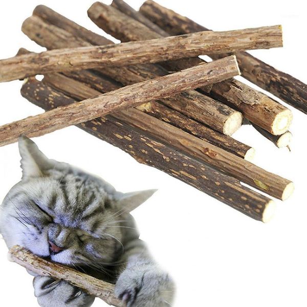 30pcs natural matatabi pet cat sticks cleaning tooth catnip cat toys actinidia silvervine pet toy for cats1