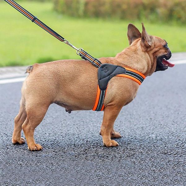 dog cat harness vest reflective breathable mesh pet products dogs leash harness adjustable collar puppy small dog night walking
dog cat harness vest reflective breathable mesh pet products dogs leash harness adjustable collar puppy small dog night walking