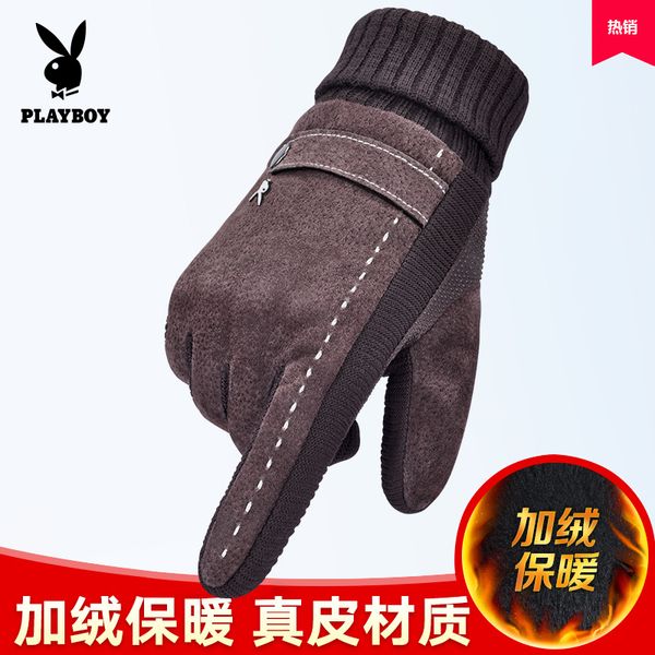 dandy leather gloves men's plush cycling motorcycle thickening warm winter cold proof touch screen cotton
dandy leather gloves men's plush cycling motorcycle thickening warm winter cold proof touch screen cotton