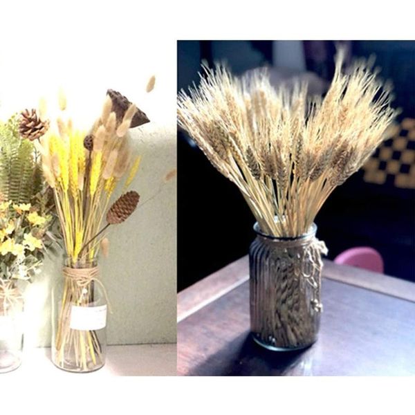 natural dried sheaves 100 stems for autumn arrangements wheat ear dried flowers wedding party diy craft home decor bouquet #t2g
natural dried sheaves 100 stems for autumn arrangements wheat ear dried flowers wedding party diy craft home decor bouquet #t2g