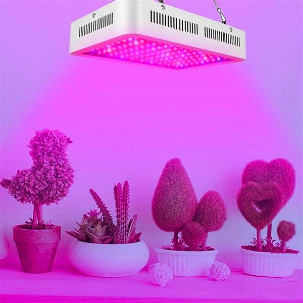 wholesale 1000W Dual Chips 380-730nm Full Light Spectrum LED Plant Growth Lamp White Top-grade material Grow Lights
wholesale 1000W Dual Chips 380-730nm Full Light Spectrum LED Plant Growth Lamp White Top-grade material Grow Lights