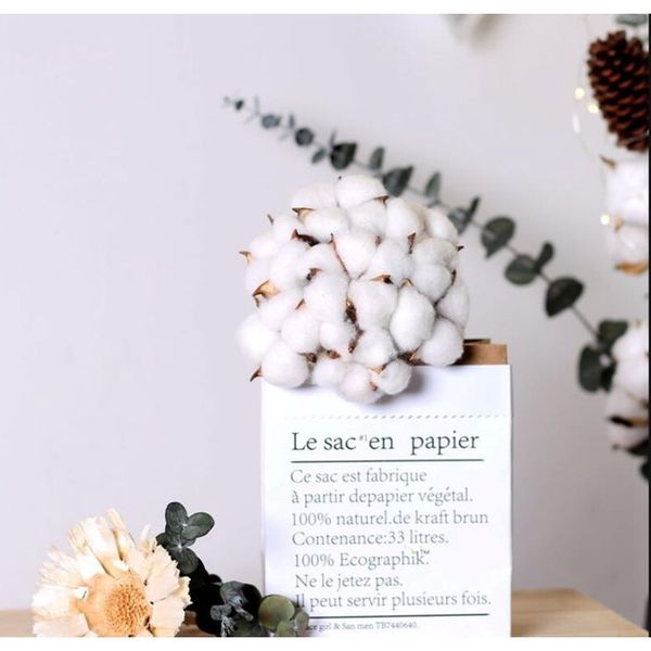 white cotton head artificial flowers diy christmas wreath accessories home natural dried flower garland flower wall material f wmthtm
white cotton head artificial flowers diy christmas wreath accessories home natural dried flower garland flower wall material f wmthtm