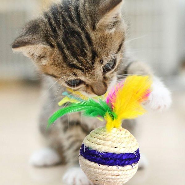 1 шт. пэт поставляет кошек игрушка catnip ball звук скрип игрушка красочные плюшевые перо колокол смешные кошки игрушки для кота котенка деш
1 шт. пэт поставляет кошек игрушка catnip ball звук скрип игрушка красочные плюшевые перо колокол смешные кошки игрушки для кота котенка деш