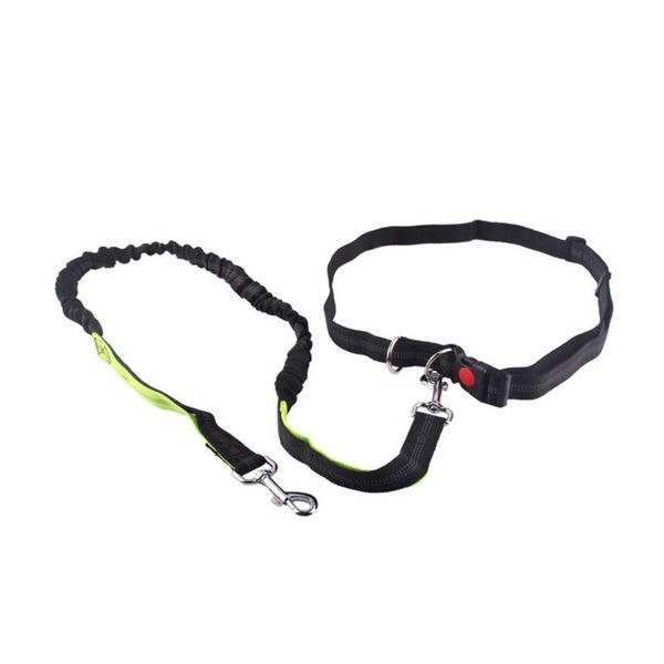 dog collars & leashes 2021 dogs leash running elasticity hand y pet products harness collar jogging lead and adjustable waist rope
dog collars & leashes 2021 dogs leash running elasticity hand y pet products harness collar jogging lead and adjustable waist rope