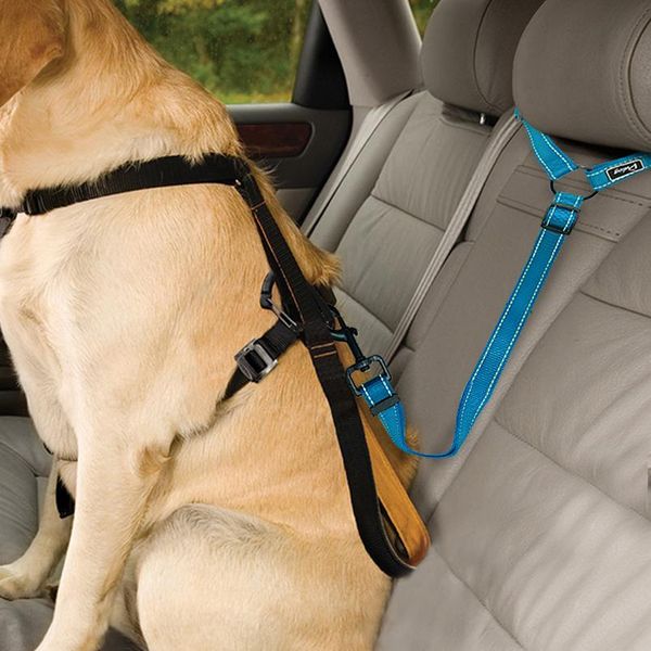 dog seat belt leash adjustable nylon pet dog cat car seat belt collar safety vehicle leads seatbelt harness sqcpry
dog seat belt leash adjustable nylon pet dog cat car seat belt collar safety vehicle leads seatbelt harness sqcpry