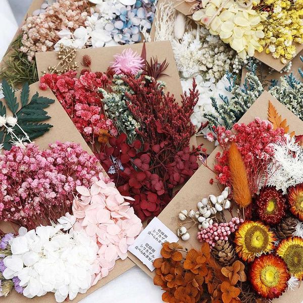 natural dried flower dry plants real flowers aromatherapy candle epoxy resin necklace jewelry diy making craft acc bbywfp
natural dried flower dry plants real flowers aromatherapy candle epoxy resin necklace jewelry diy making craft acc bbywfp
