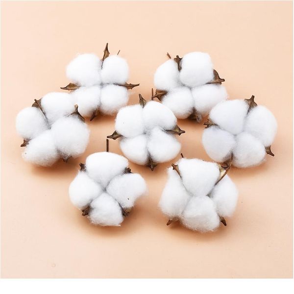 2/5/10 pieces white cotton florist supplies wedding car decorative flower wreaths christmas home decor artificial bbyuzn
2/5/10 pieces white cotton florist supplies wedding car decorative flower wreaths christmas home decor artificial bbyuzn