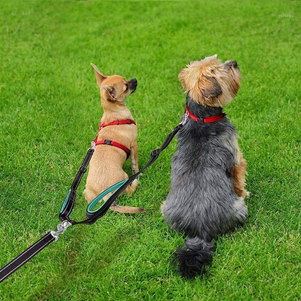 dog leash double leashes running walking traction rope hand reflective adjustable leashs for small medium large dog1
dog leash double leashes running walking traction rope hand reflective adjustable leashs for small medium large dog1
