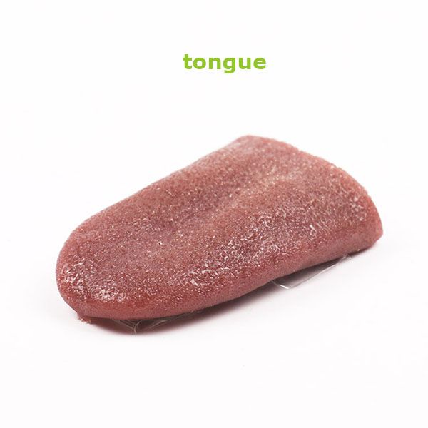 simulated tongue smell no tongue coating plastic shell whole scary scary fake steel needle through the tongue magic props
simulated tongue smell no tongue coating plastic shell whole scary scary fake steel needle through the tongue magic props