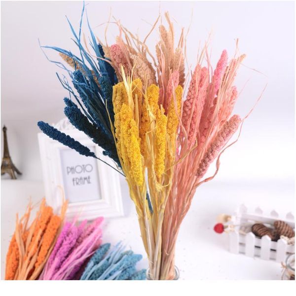10pcs natural dried flower grain artificial flower decorative bouquet for home wedding table decoration diy wreath fak jllubs
10pcs natural dried flower grain artificial flower decorative bouquet for home wedding table decoration diy wreath fak jllubs