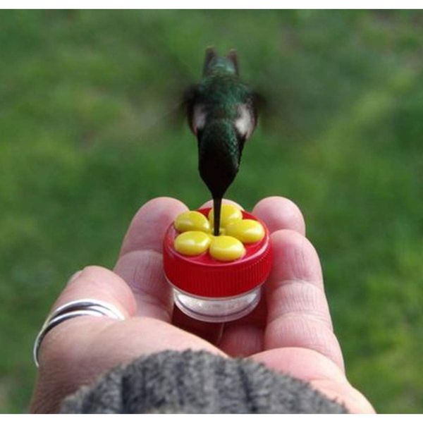 handheld hummingbird feeders with suction cup multifunctional mini feeder outdoor plastic flower iron hook bird feeder d3 bbygli
handheld hummingbird feeders with suction cup multifunctional mini feeder outdoor plastic flower iron hook bird feeder d3 bbygli