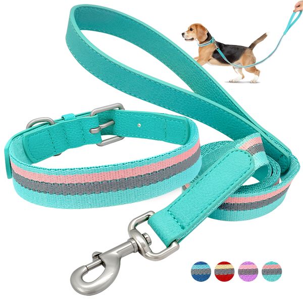 nylon collar shoulder strap for small and medium-sized dogs, adjustable reflective walking belt, bulldog
nylon collar shoulder strap for small and medium-sized dogs, adjustable reflective walking belt, bulldog