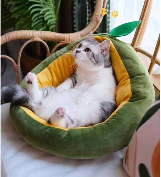 pet cat house for dogs mat warm bed cute small cats beds nest for dogs avocado shape sleeping bags comfortable puppy kennel sofa
pet cat house for dogs mat warm bed cute small cats beds nest for dogs avocado shape sleeping bags comfortable puppy kennel sofa