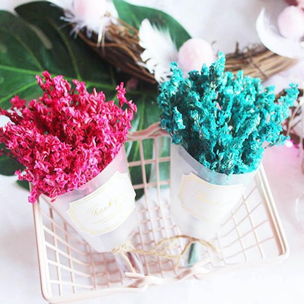 1pcs/lot natural dried flowers mini crystal grass for wedding home decoration diy craft gifts packing dried flowers pho jllyhr
1pcs/lot natural dried flowers mini crystal grass for wedding home decoration diy craft gifts packing dried flowers pho jllyhr