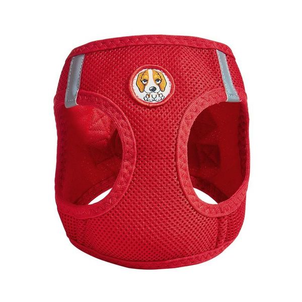 pet 4 sized teddy bear chest strap,easy use ,xmas gift to dog 
pet 4 sized teddy bear chest strap,easy use ,xmas gift to dog