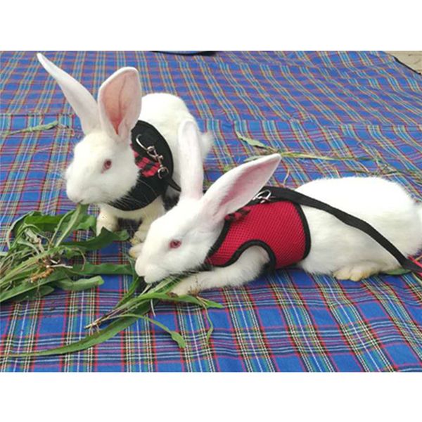 pet rabbit lead,puppies walking rabbits leash harness hamster leash vest traction rope for small animal adjustable soft
pet rabbit lead,puppies walking rabbits leash harness hamster leash vest traction rope for small animal adjustable soft