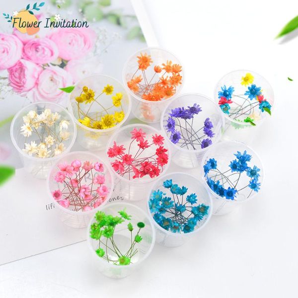 decorative flowers & wreaths 10 pcs / box diy natural dried mini dry flower home decoration for resin jewellery wedding
decorative flowers & wreaths 10 pcs / box diy natural dried mini dry flower home decoration for resin jewellery wedding
